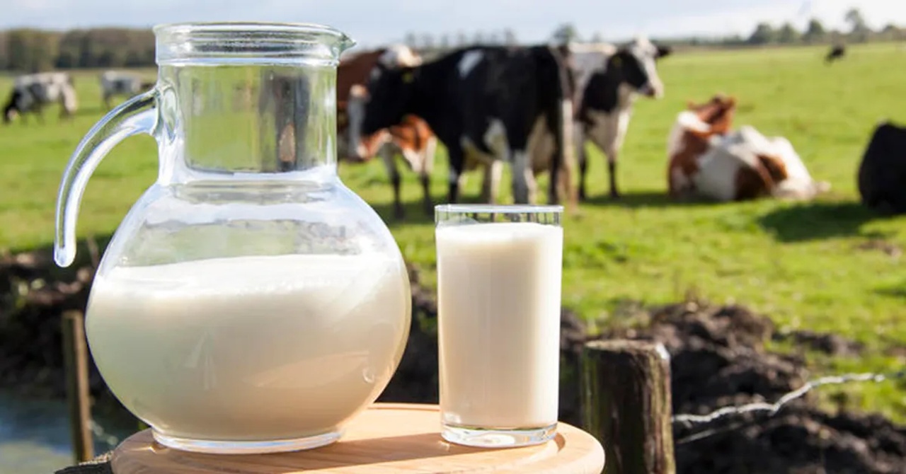 Preço do leite o que esperar para os próximos meses?