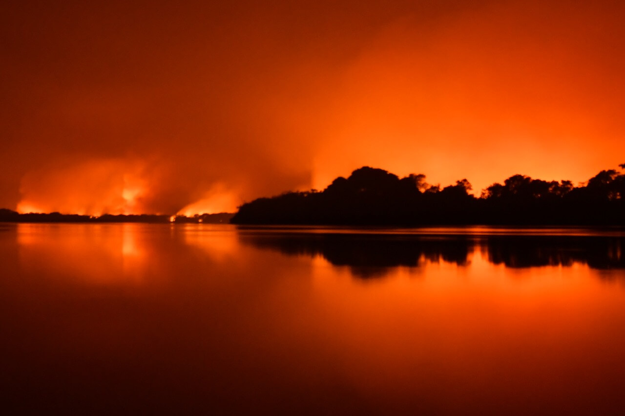 Incêndios No Pantanal causa estado de emergência No MT