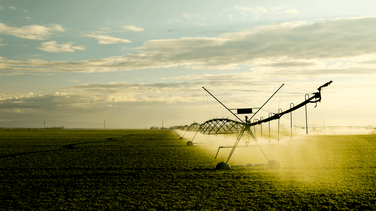 Manejo Certo Aumenta a Qualidade de Áreas Irrigadas