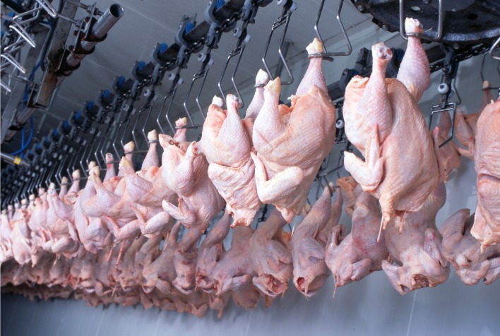 1659397050 Exportacoes brasileiras de frango para o Catar crescem 84 em