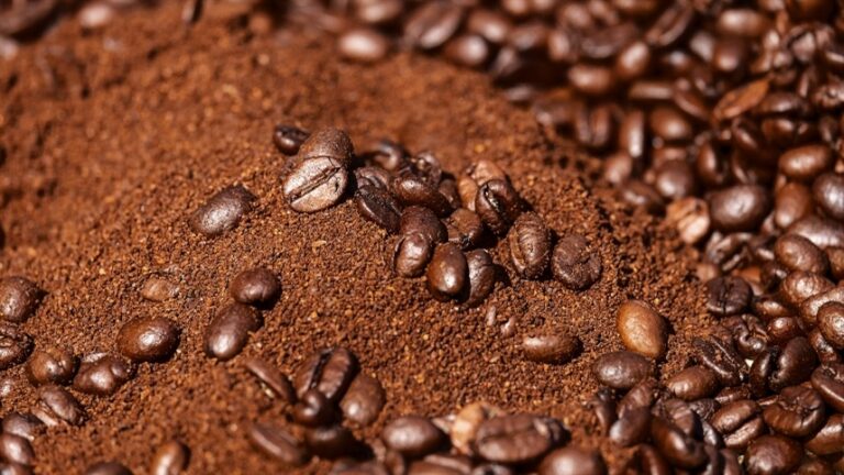 Brasil encontra seus campeões Latte Art e Coffee in Good Spirits