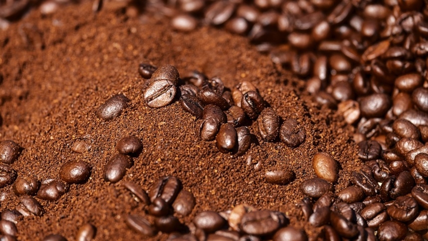 Brasil encontra seus campeoes Latte Art e Coffee in Good