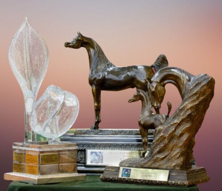 Inscricoes para Copa dos Criadores Brasileiros 2022 Internacional do Cavalo