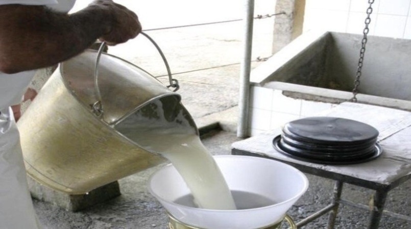 Preco do leite ao produtor deve continuar em queda ate