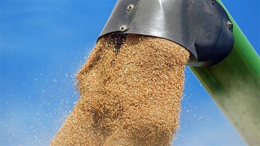 95 milhoes de toneladas de trigo