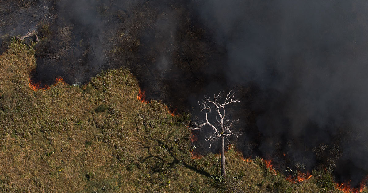 Incendios florestais aumentam na Amazonia apos novo Codigo Florestal •
