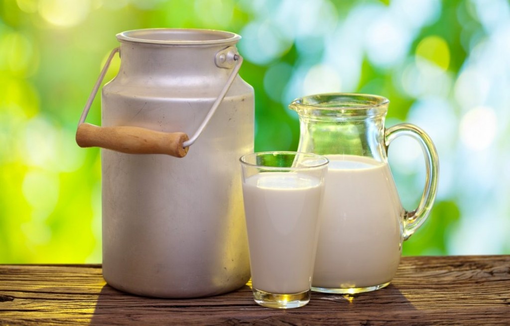 ArtigoCepea Ajustes metodologicos no levantamento do preco do leite cru