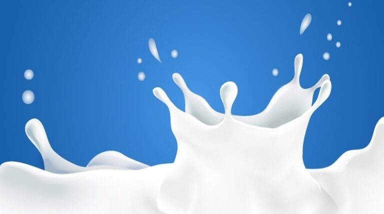 Governo federal anuncia medidas de apoio a produtores de leite