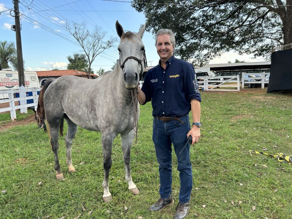 doutor Reinaldo de Campos e a paixao pelos cavalos