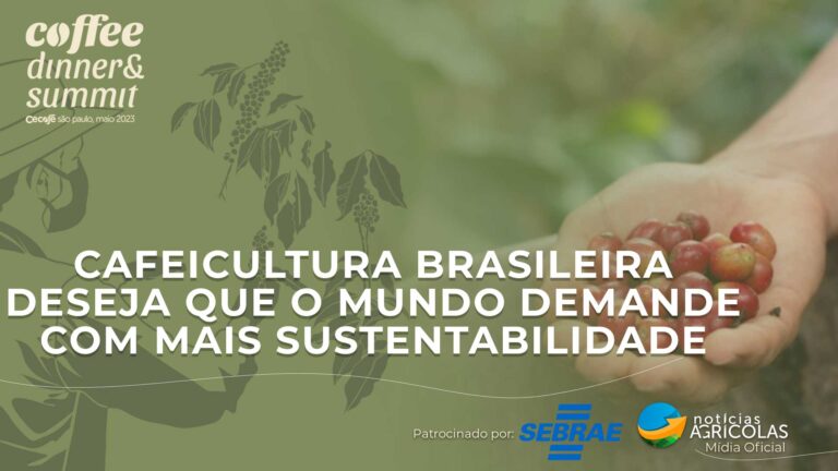Cafeicultura brasileira quer que o mundo exija de forma mais sustentável