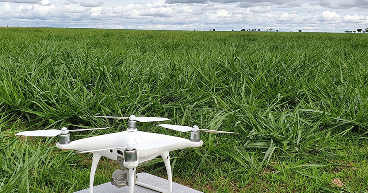 drones garantem 66 de precisao no monitoramento de pastagens revela