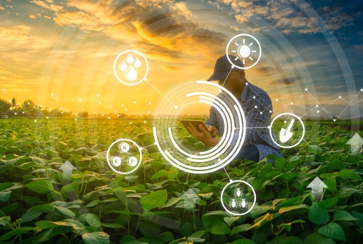 O impacto da Inteligência Artificial no mercado de insumos agrícolas
