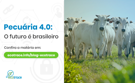 Pecuária Brasileira e o futuro do mercado de carne Ecotrace Solutions