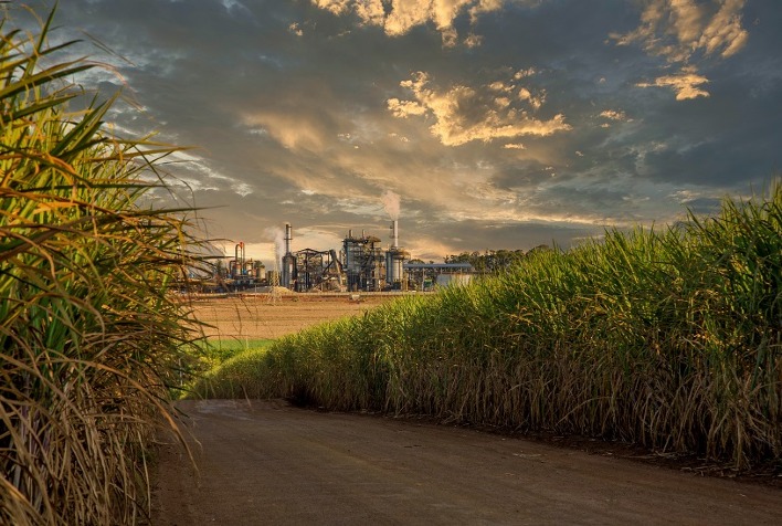 Moagem de cana no Centro-Sul ultrapassa 48 milhões de toneladas e etanol hidratado ganha competividade