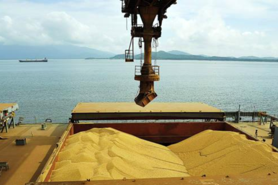 Brasil deve exportar ate 88 mi de t de soja
