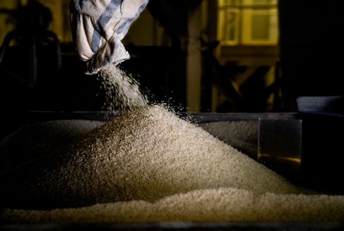 Brasil exporta 199 mil toneladas de arroz em julho diz