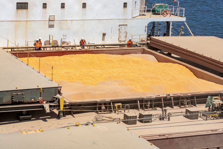 Exportacao de milho do Brasil pode ser recorde em agosto