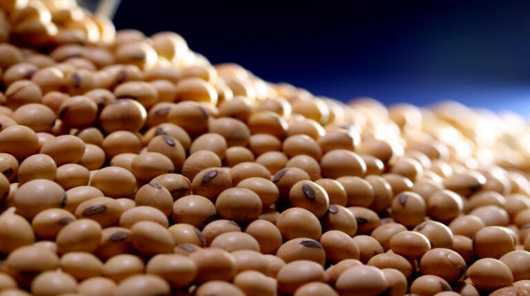 Oferta elevada pressiona valores da soja no Brasil e nos EUA