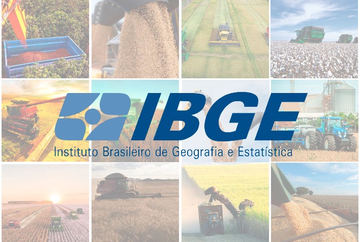 Em agosto, IBGE prevê safra recorde de 313,3 milhões de toneladas para 2023