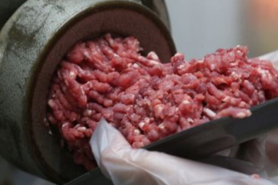 Produção de carne brasileira pode atingir 30,8 milhões de t na safra 2023/24