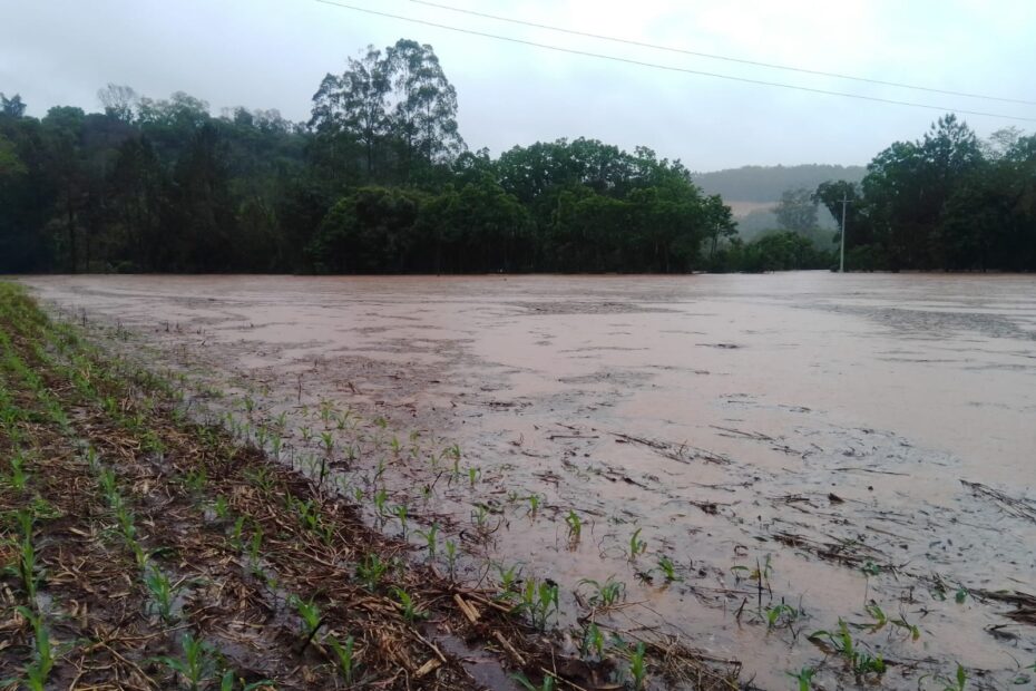 Chuvas: meio rural com prejuízos de R$ 21,5 milhões em Erechim - Jornal Bom Dia