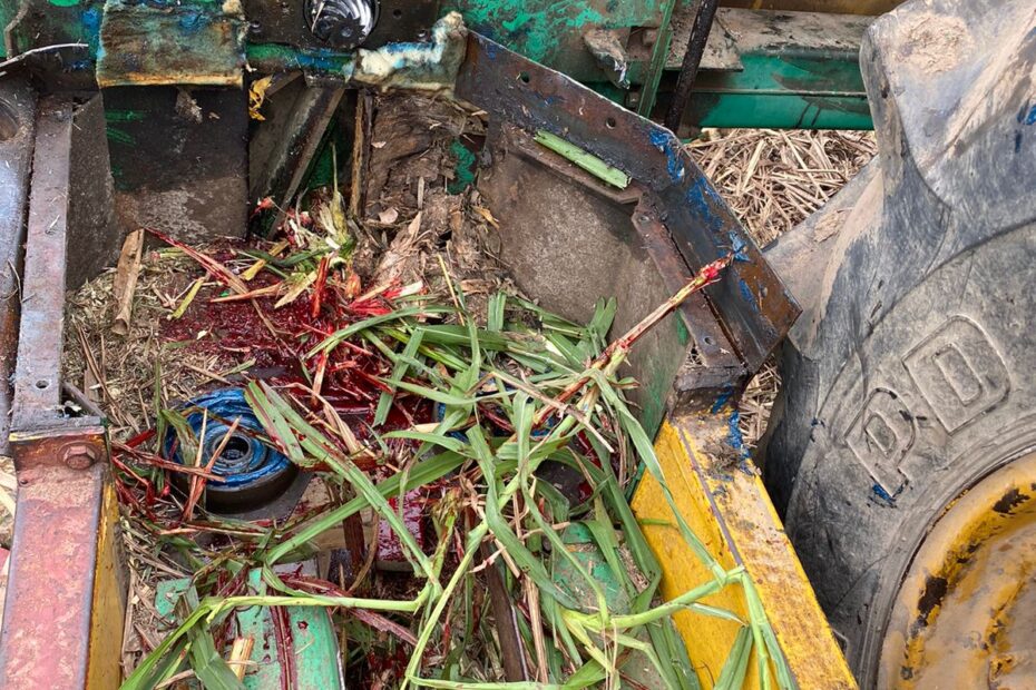 Idoso tem tornozelo e pé triturados por máquina agrícola em Criciúma | TN Sul