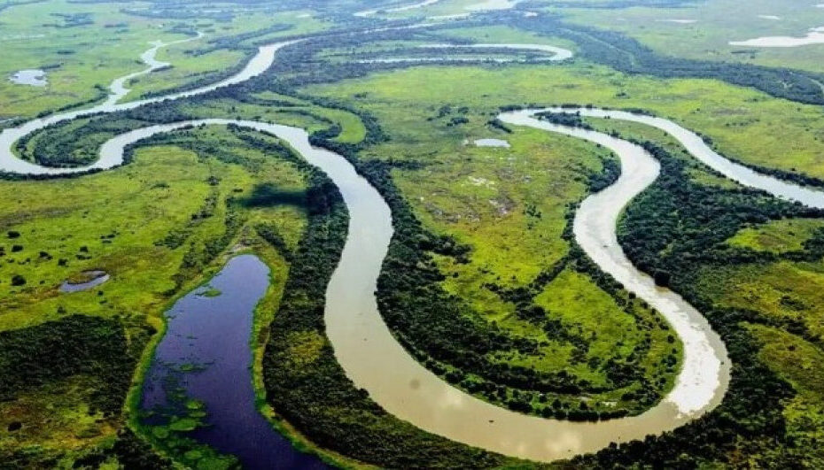 Justiça libera licenciamento para atividades agrícolas e pecuárias nos vales dos rios Araguaia e Guaporé