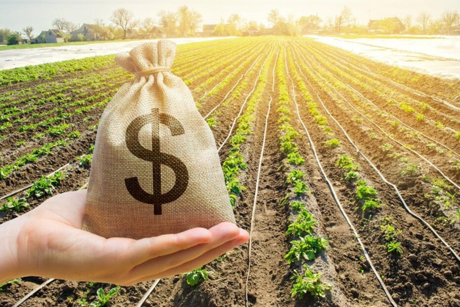 Valor da Produção Agropecuária é atualizado para R$ 1,150 trilhão em 2023