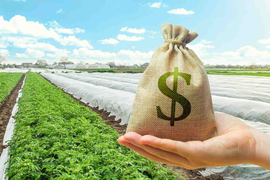 Produção Agropecuária Brasileira Bate Recorde com Valor de R$ 1.150 Trilhão em 2023