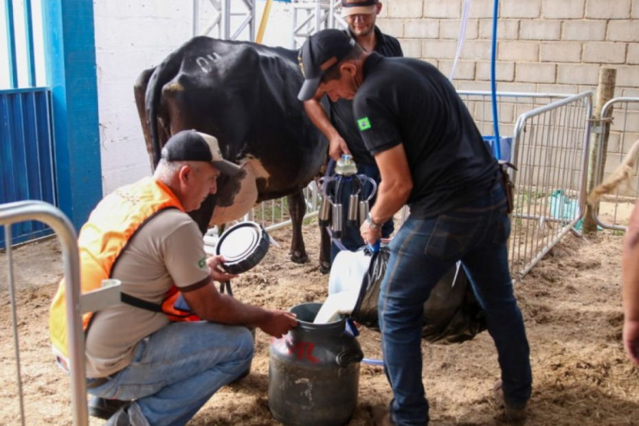 Concurso supera expectativa e reforça potencial da pecuária leiteira sanjoanense | São João da Barra