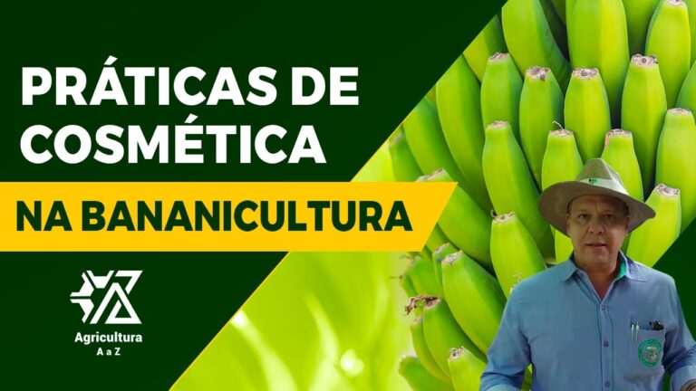 PRÁTICAS DE COSMÉTICA POUCO CONHECIDAS NA BANANICULTURA – com Sérgio Donato