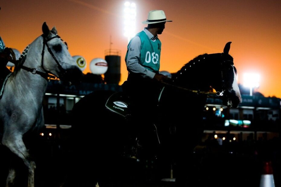 Belo Horizonte recebe a 40ª Exposição Nacional do Cavalo Mangalarga Marchador