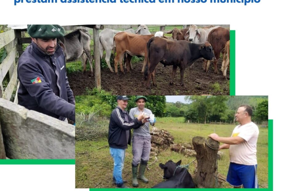 Secretaria de Agricultura e Pecuária e EMATER prestam assistência técnica em Paraíso do Sul