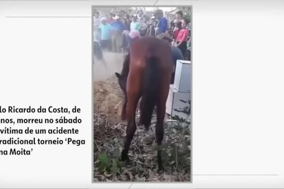 Vídeo emociona ao mostrar cavalo em velório e 'se despedindo' de vaqueiro de 16 anos que morreu em competição | Piauí