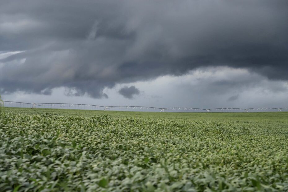 Chuvas de outubro causam grandes prejuízos para a produção agrícola de Irati (PR)