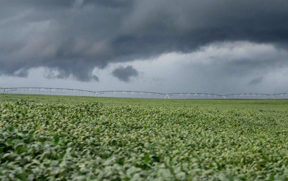 Chuvas acima da média prejudicaram produção agropecuária no Paraná