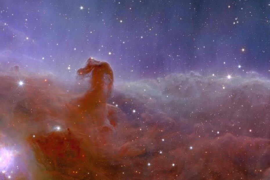 "Cabeça de cavalo" e galáxias nunca vistas: primeiras imagens do telescópio espacial Euclid são divulgadas