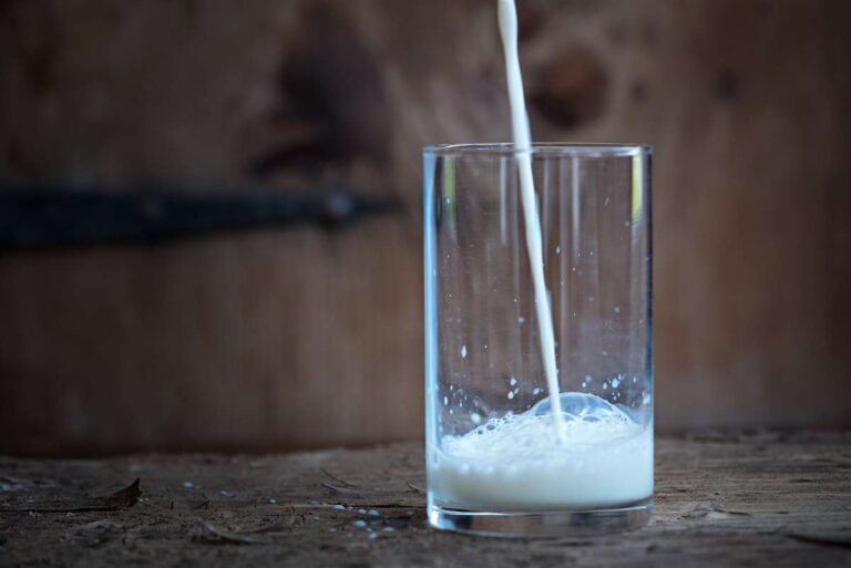 Importações de leite em pó são tema de preocupação e debate