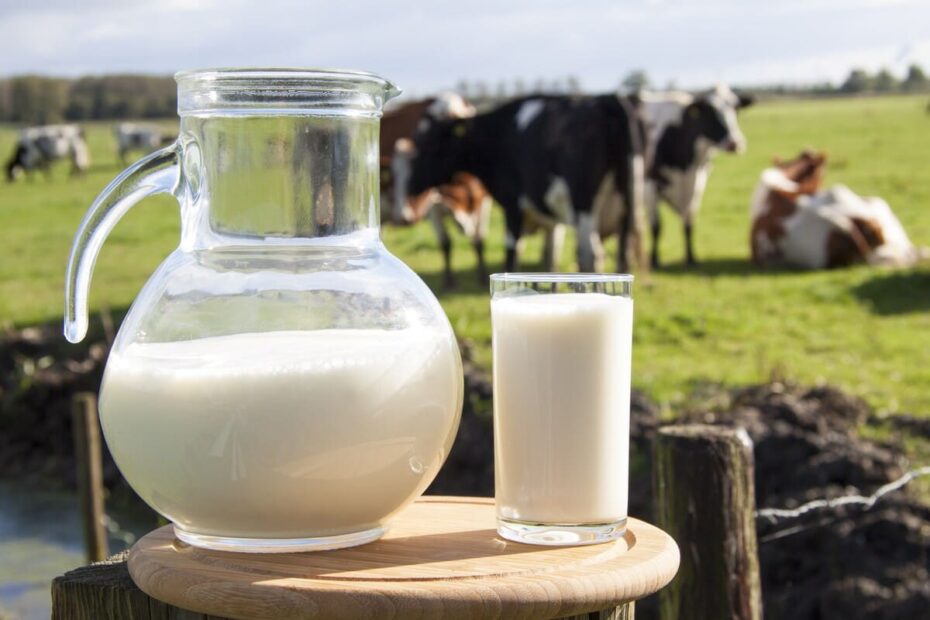 importante avaliação da qualidade do leite