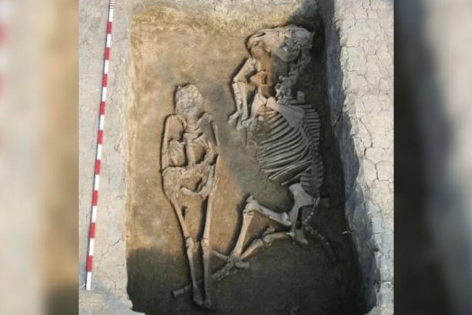 Arqueólogos acham esqueleto com cavalo e mais 400 outros enterros na Hungria | Arqueologia