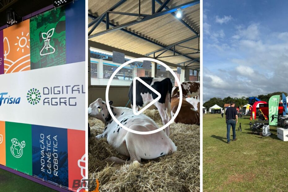 ExpoFrísia: acompanhe as exposições de gado leiteiro e as inovações para a agricultura 2024
