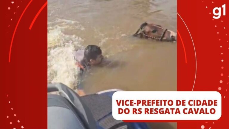 Vice-prefeito de cidade do RS resgata cavalo submerso em Canoas: 'Jamais deixaríamos ele morrer'; VÍDEO | Rio Grande do Sul