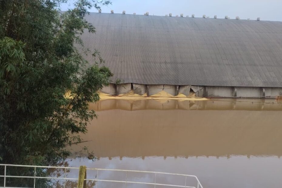 Armazém da Bianchini com 100 mil toneladas de soja se rompe após enchente em Canoas | Negócios
