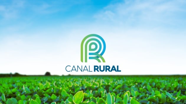 Preço do milho cai 13,6% em um ano - Canal Rural
