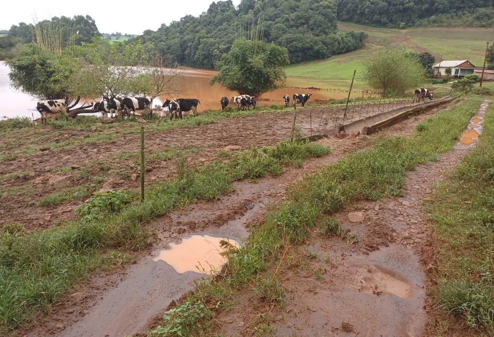 Segundo o presidente da Gadolando, a enchente pode ser “a pá de cal” que faltava para tirar muitos produtores de leite da atividade — Foto: Emater-RS / Divulgação
